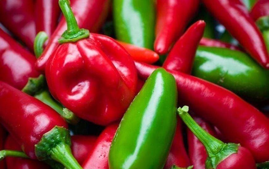 Skandal i përsëritur! Kroacia bllokon specat nga Shqipëria, sërish pesticide mbi normë