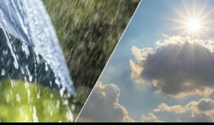 Creator: gd jpeg v1.0 (using ijg jpeg v62), quality = 82?