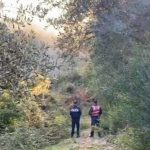 Pyll1173752802860628607