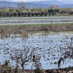 Screenshot 20251125 205621 gallery4598805517854406284