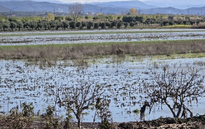 Screenshot 20251125 205621 gallery4598805517854406284