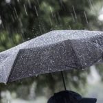 1702710376 moti2241628137895477054