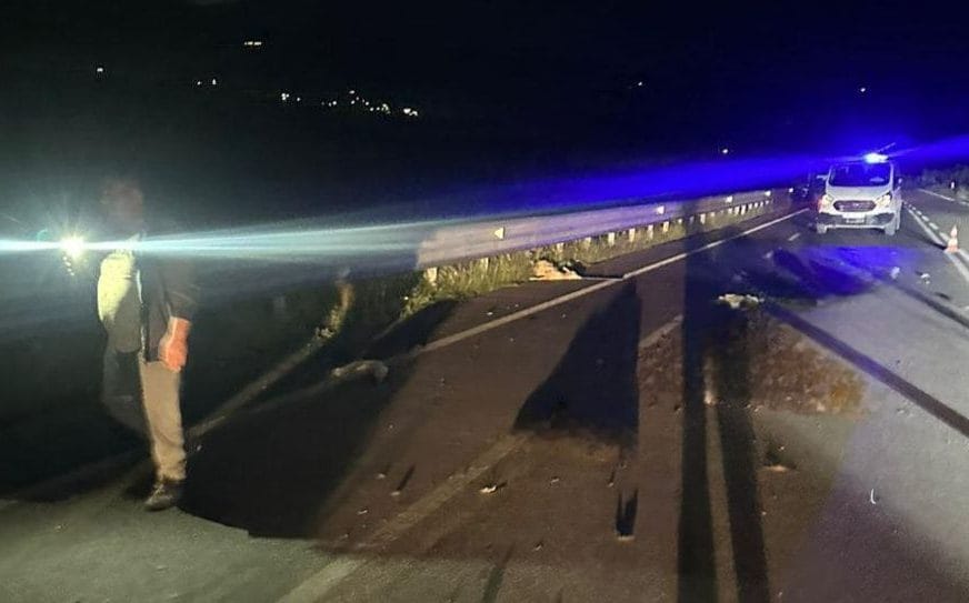 Img 20260429 wa00281487641133483218643