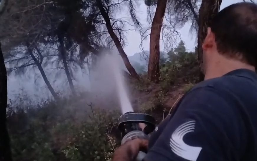 Digjet masivi pyjor në Patos, betejë me flakët prej orës 6:00